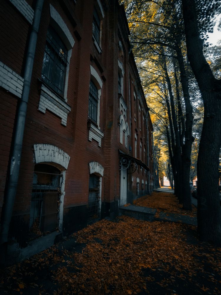 Photograph by Андрей Пучков