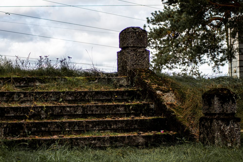 Фотография автора Нина Шкляр