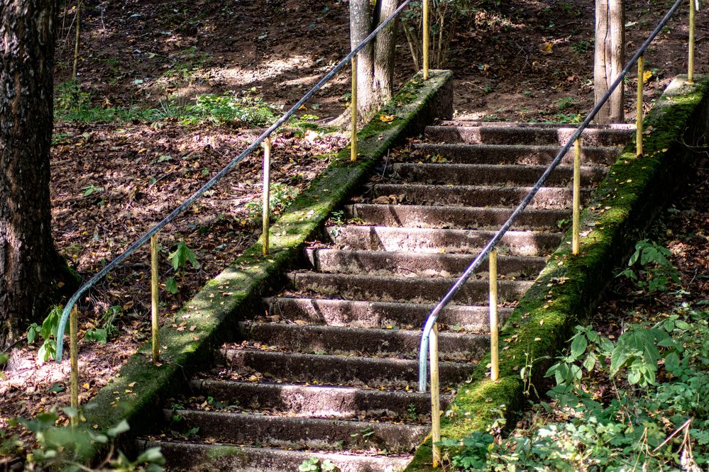 Фотография автора Нина Шкляр