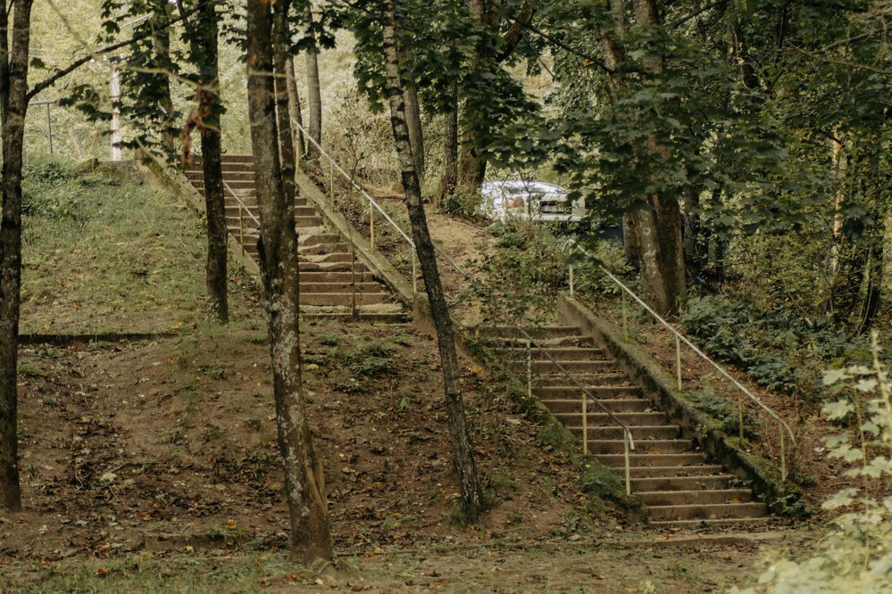 Фотография автора Нина Шкляр