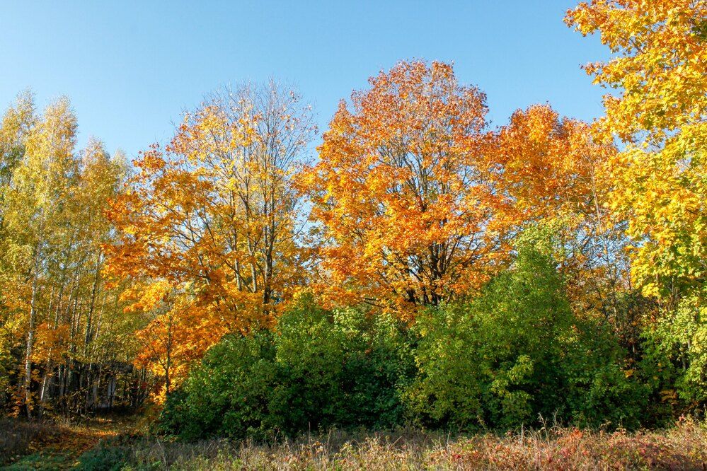 Photograph by Igors Rostikovs