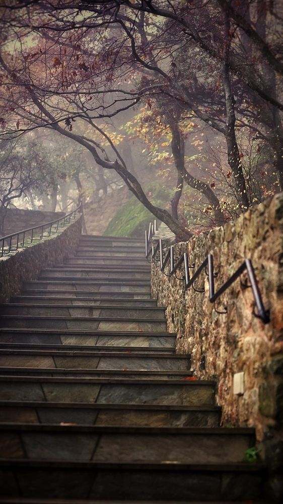 Photograph by Одаренко Ольга