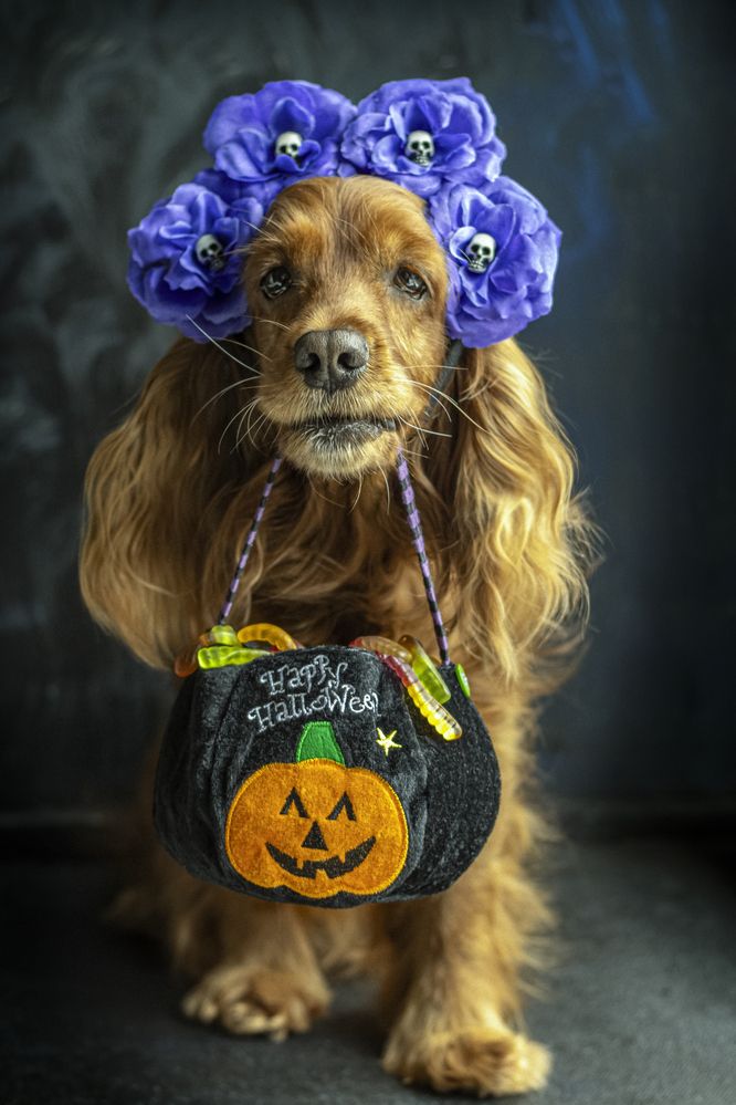 Photograph by Victoria Mogulyan