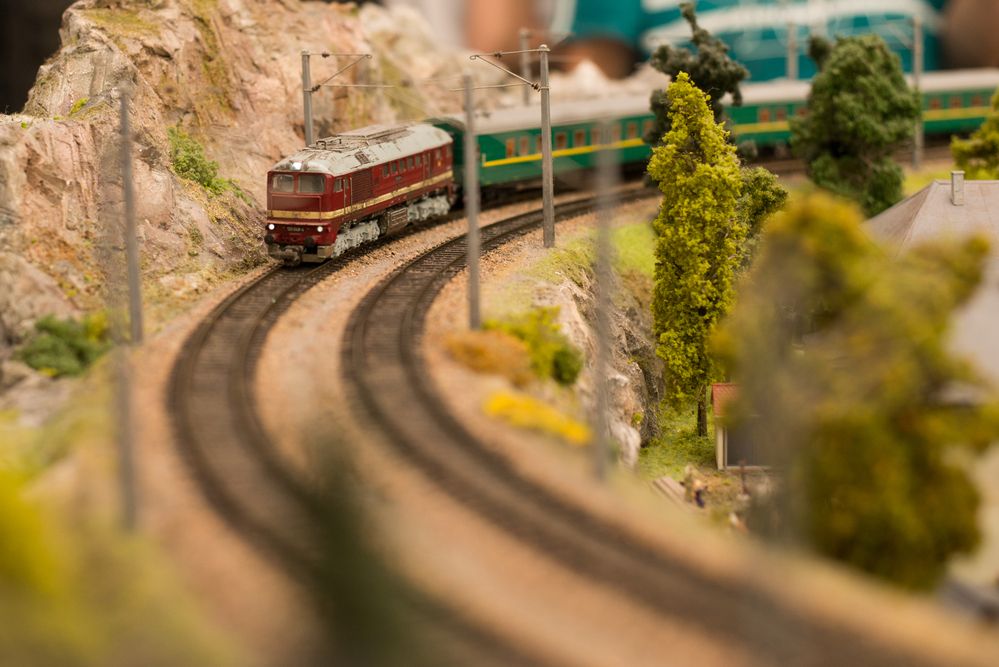 Фотография автора Инна Кибирева