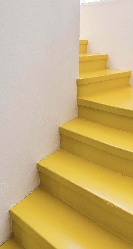 Photograph by Oksana Smorodina