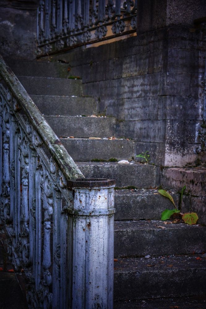 Photograph by Oksana Smorodina