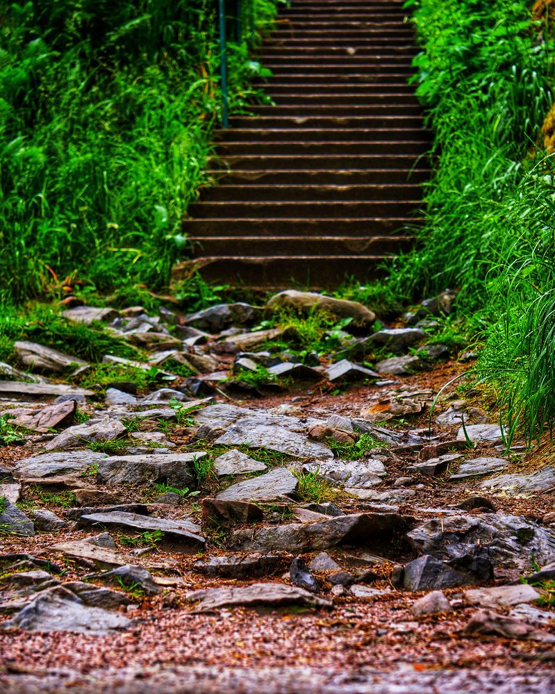 Photograph by Oksana Smorodina