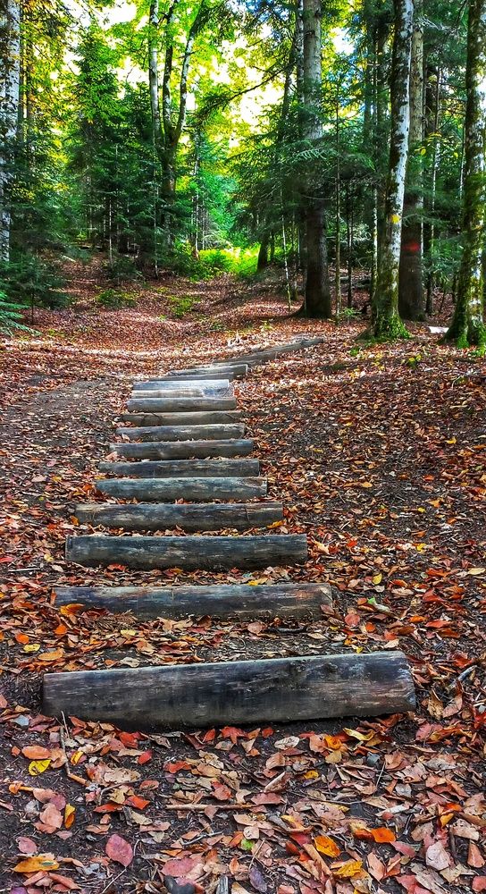 Photograph by Юлия Коробкова