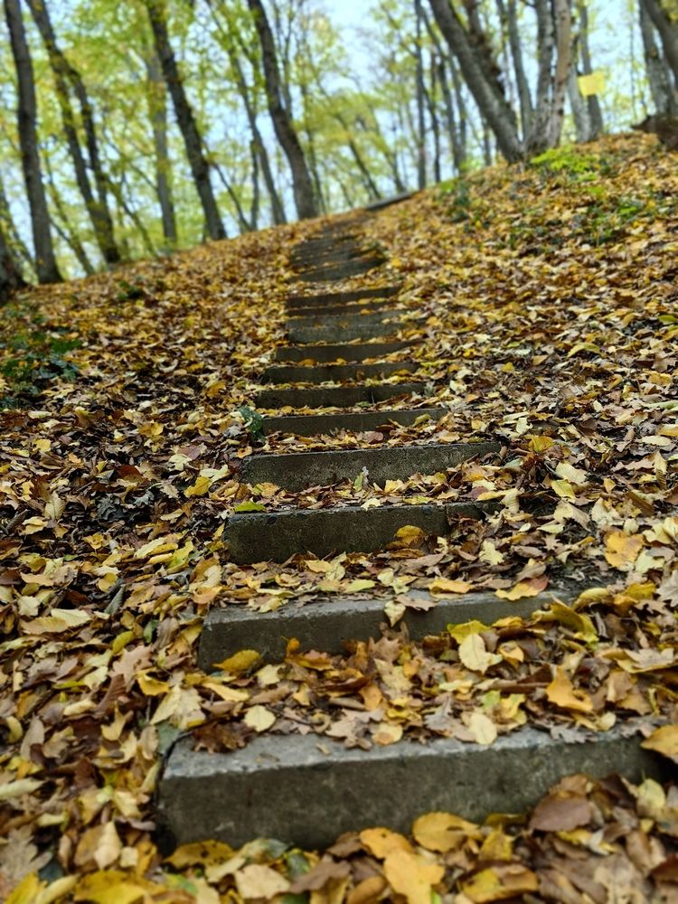 Photograph by OLGA MIKHNEVICH