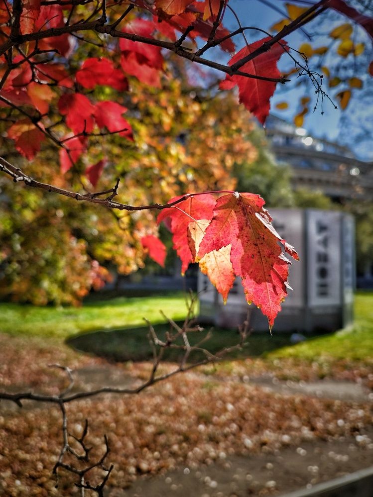 Photograph by Ирина Попелкова