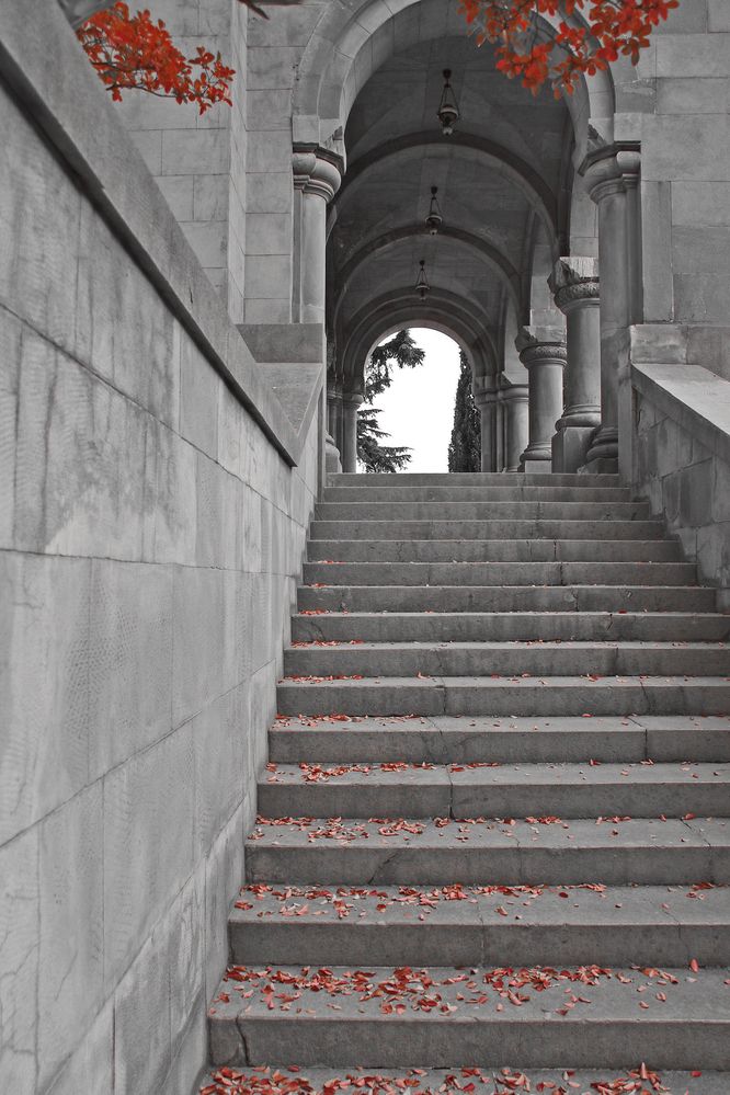 Photograph by Елена Щитова