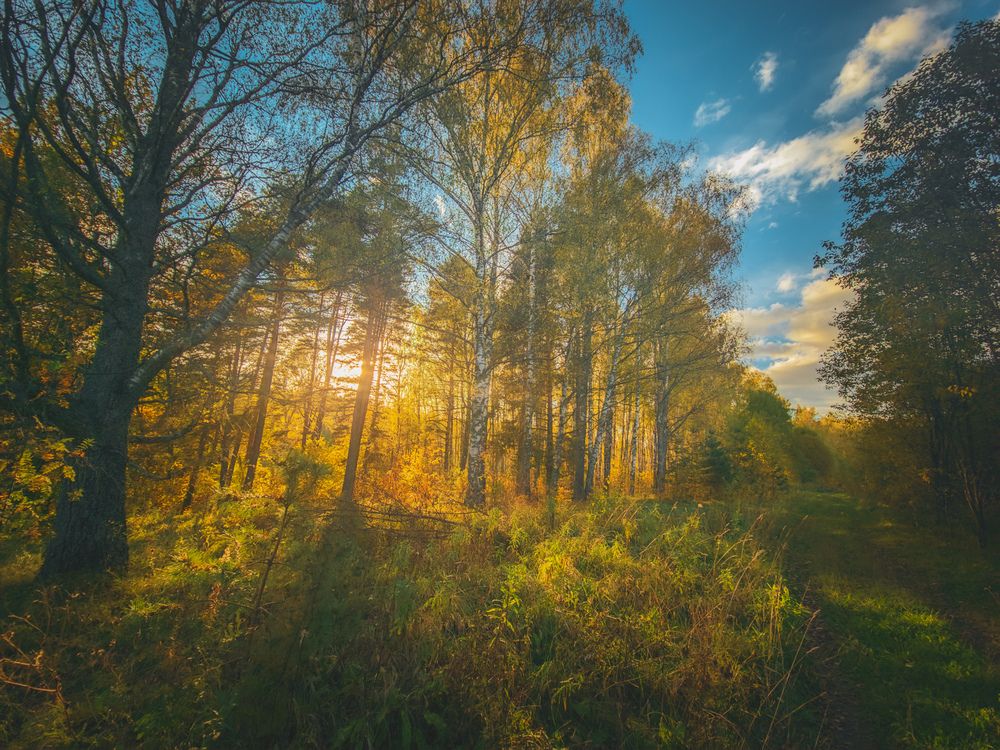 Photograph by Кирилл Сидоров