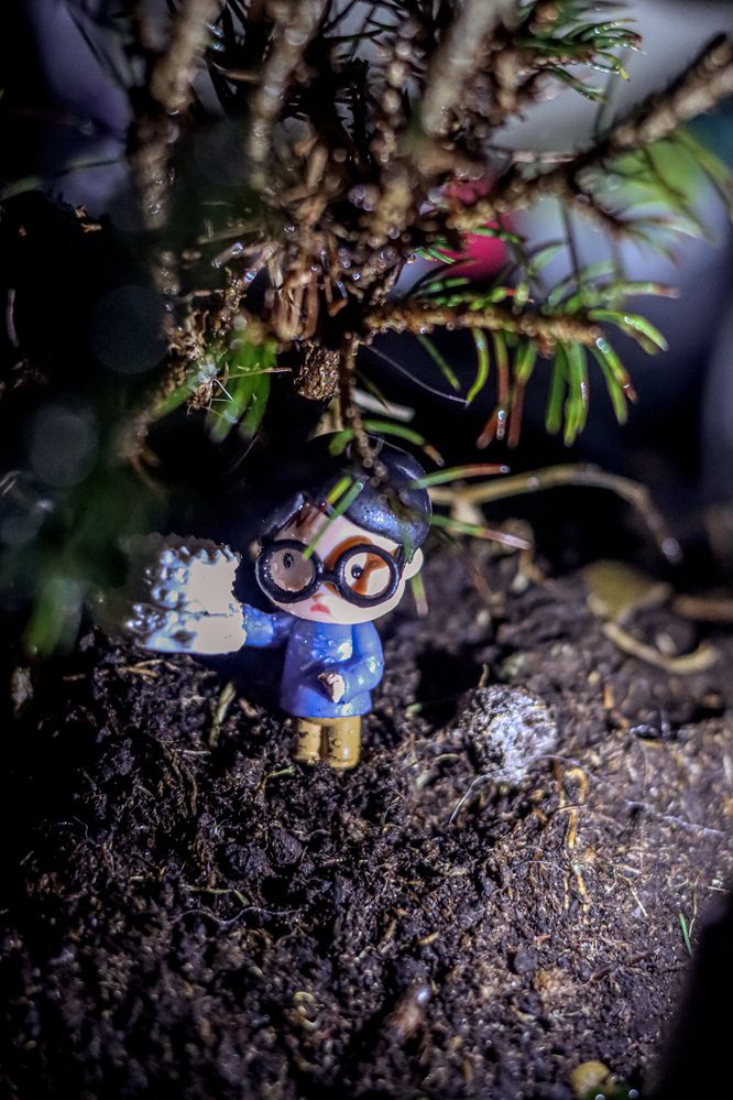 Photograph by Аня Проскурякова