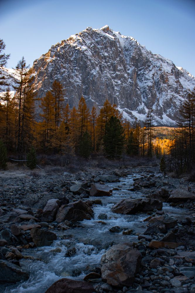 Фотография автора Эльвира Чернова