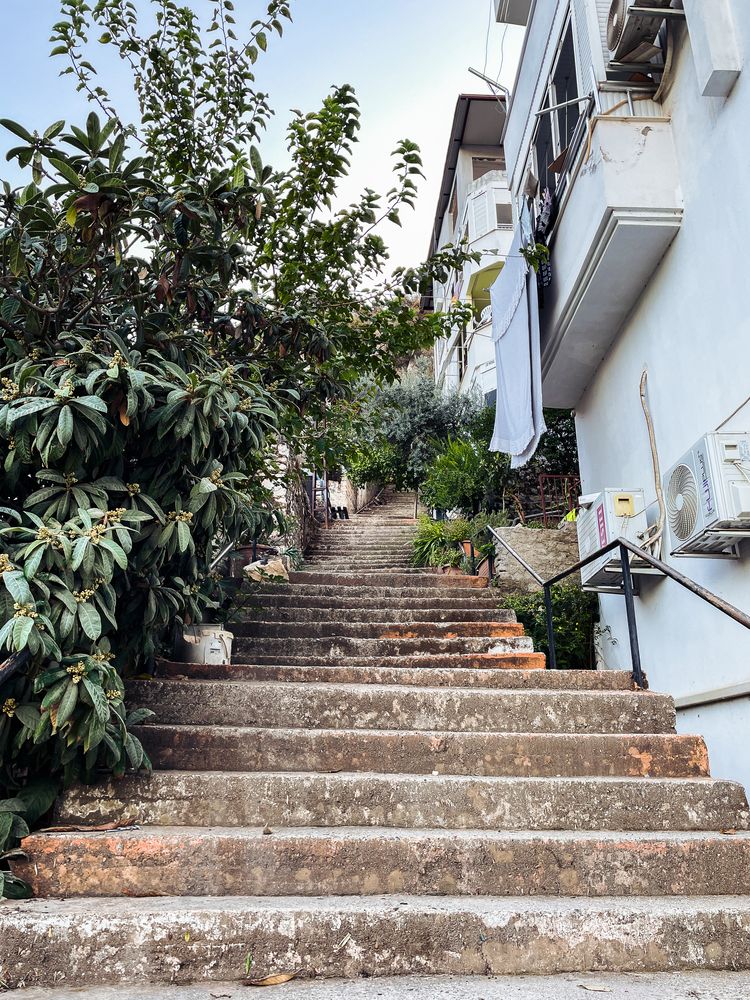 Photograph by Elizabeth B.