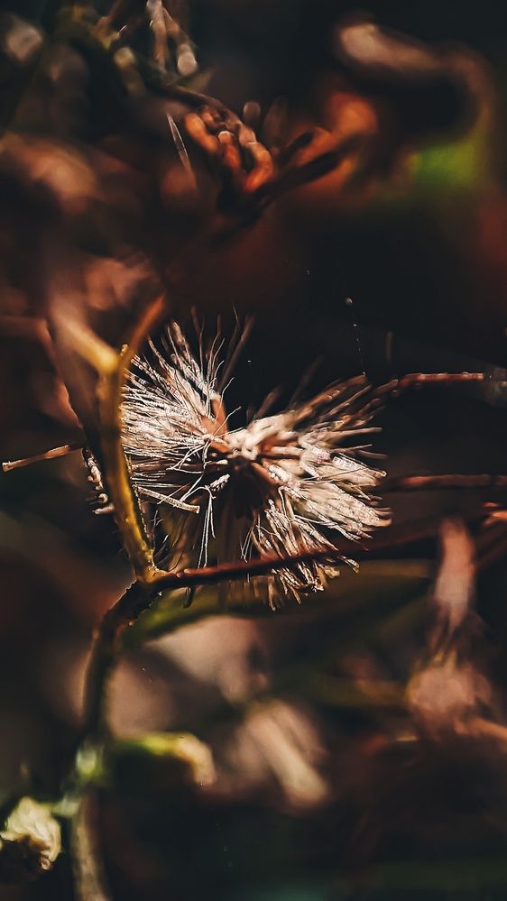Photograph by Жанна Калашникова