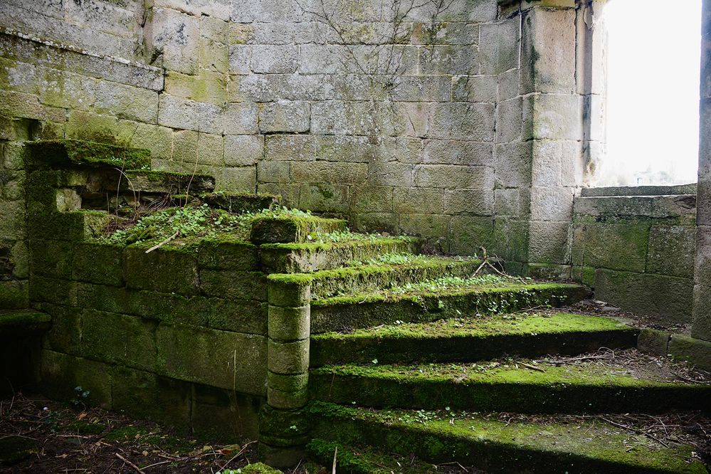 Фотография автора YANN JACOB