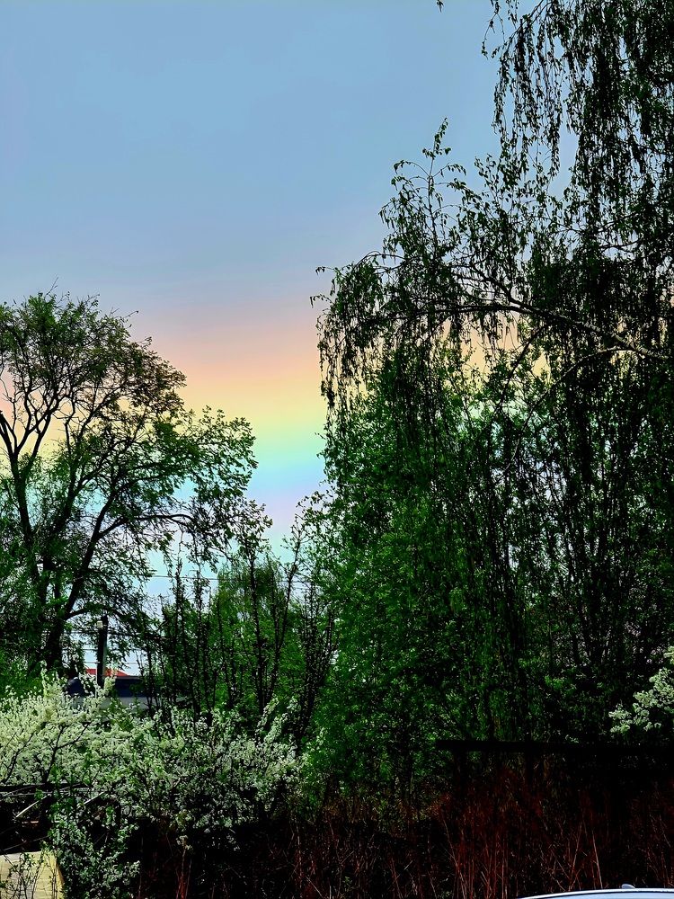 Photograph by Марина Голубкова