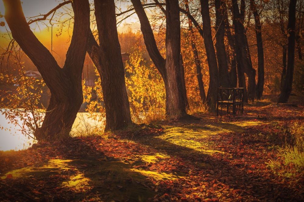 Photograph by Денис Хабибуллин