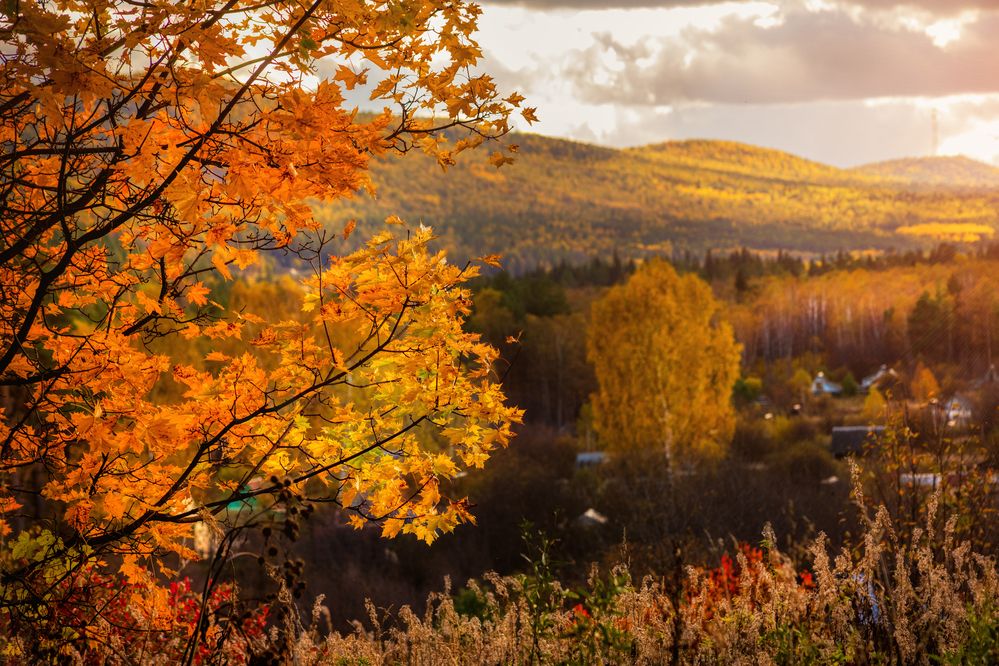 Photograph by Денис Хабибуллин