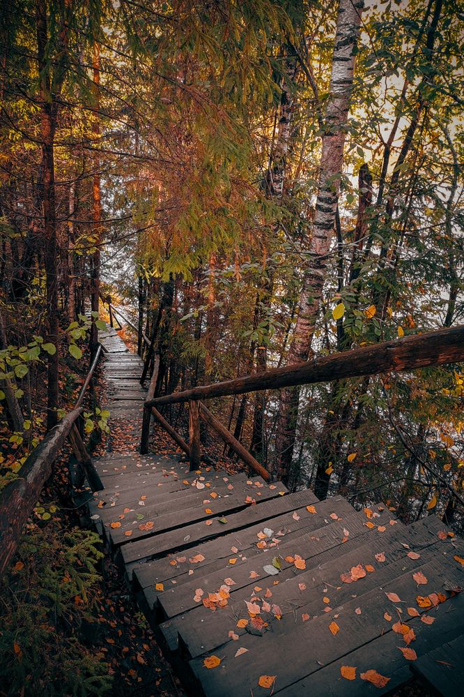 Photograph by Евгения Россоловская