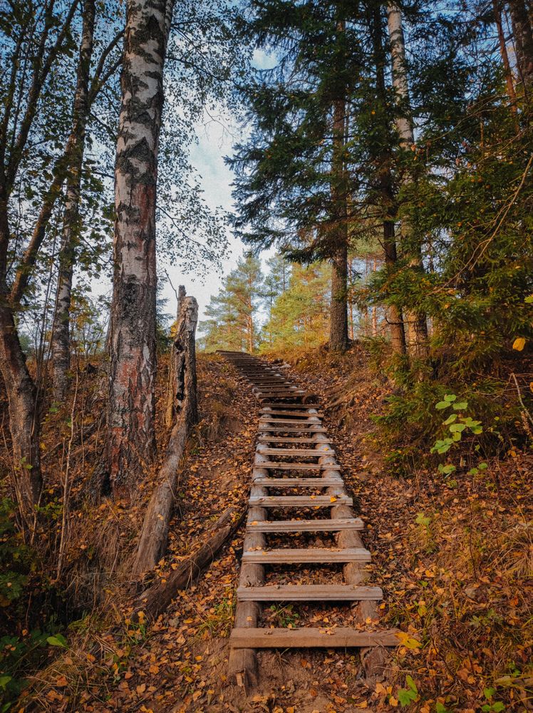 Photograph by Евгения Россоловская