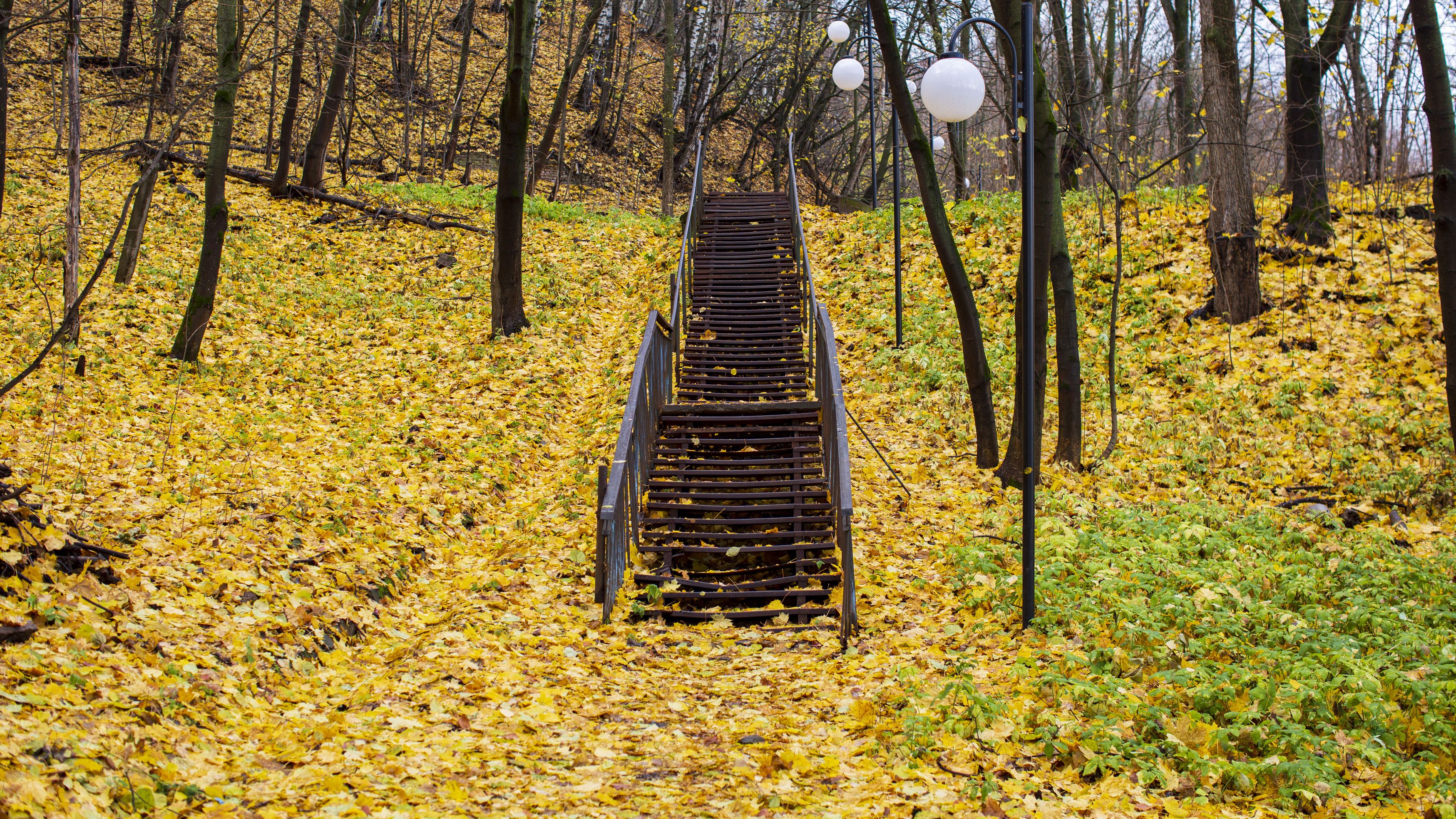 Лестница в осеннем парке