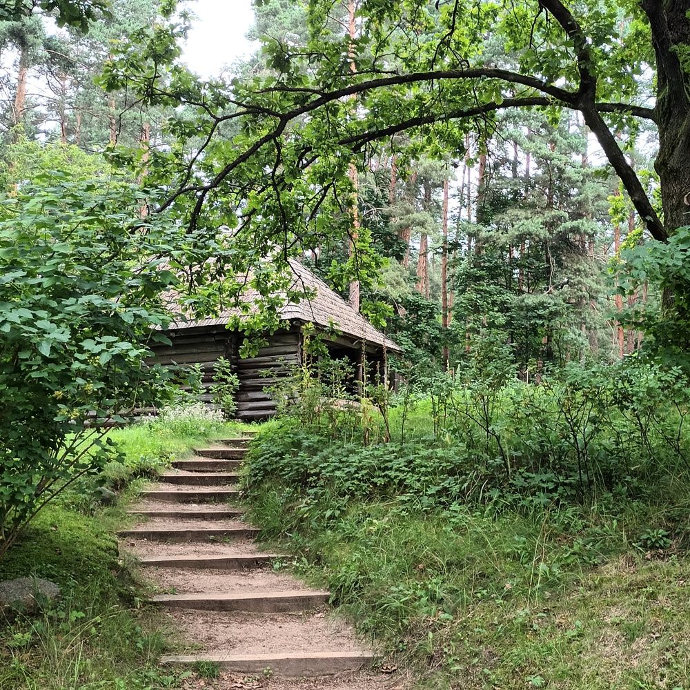 Фотография автора Maks Lanister