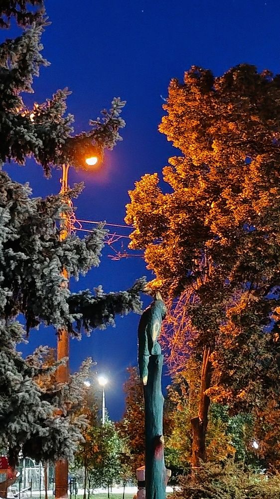 Photograph by Светлана Вергеенко