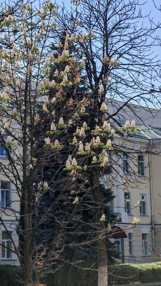 Photograph by Светлана Вергеенко