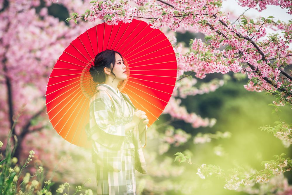 Фотография автора Uesan Aliace