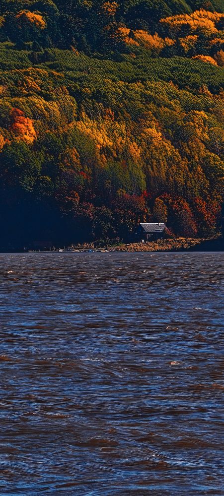 Photograph by Дарья Куклева