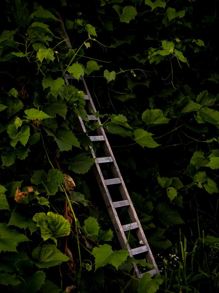 Photograph by Игорь Сухаревич