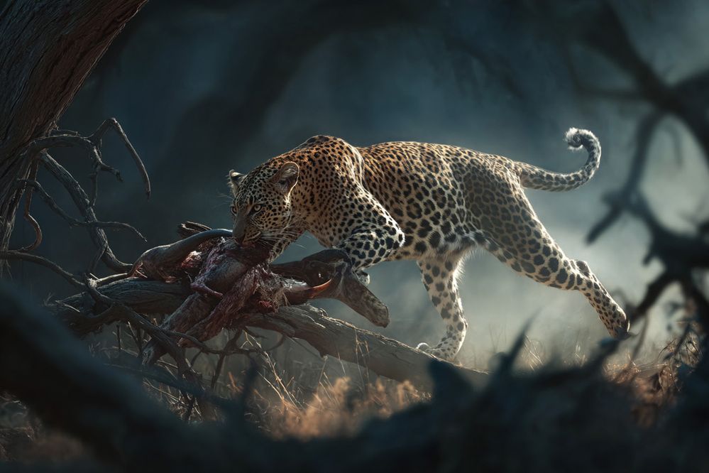 Photograph by Дмитрий Николаев