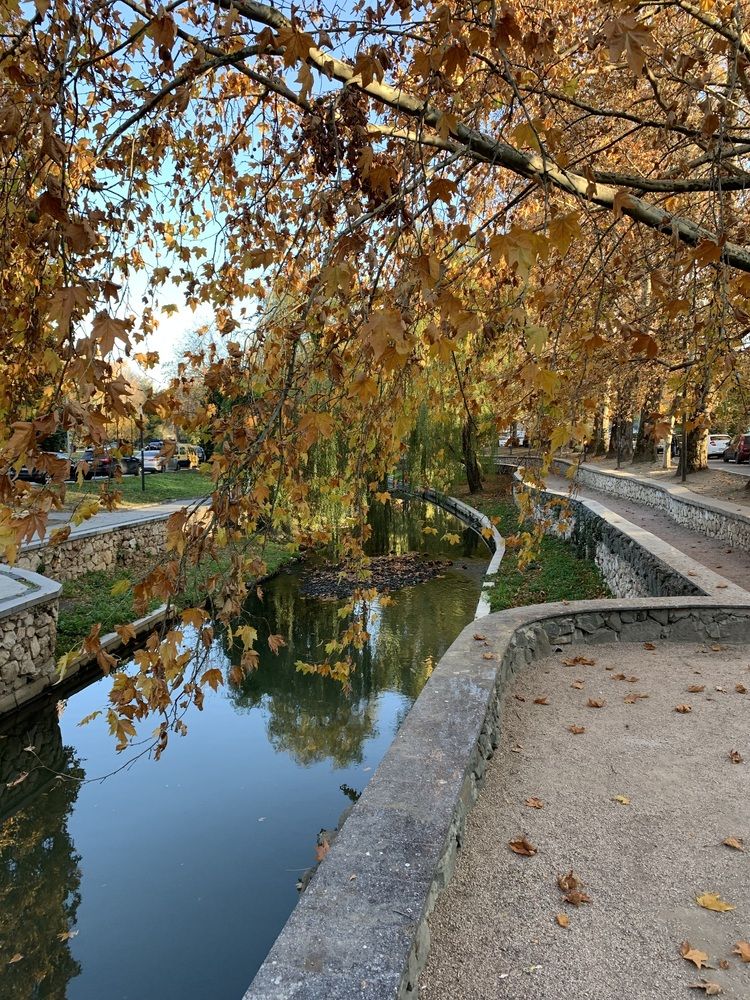 Photograph by Игорь Ребров