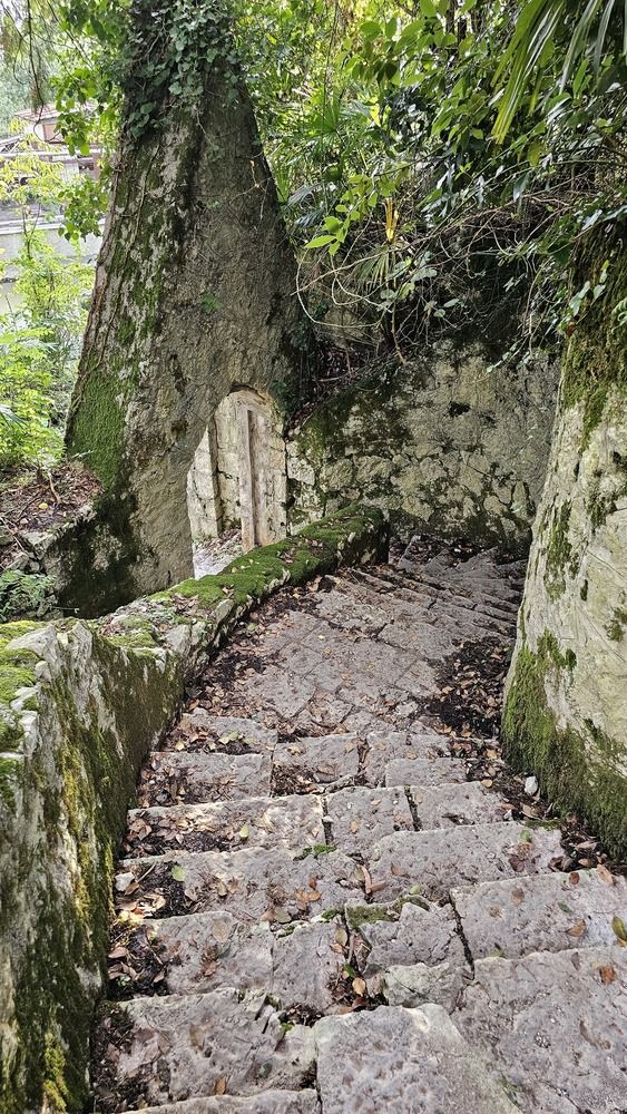 Photograph by Елена Мазуренко