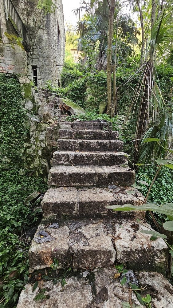 Photograph by Елена Мазуренко