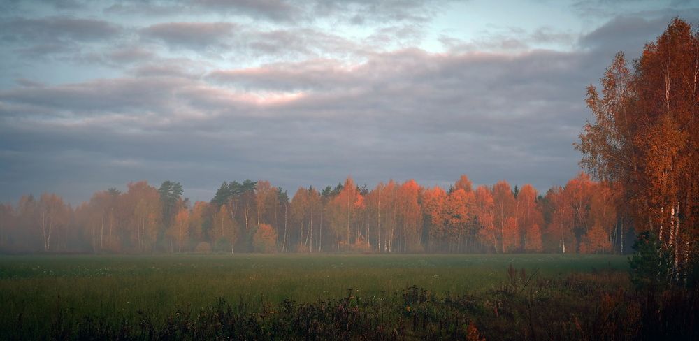 Photograph by Андрей Некрашевич