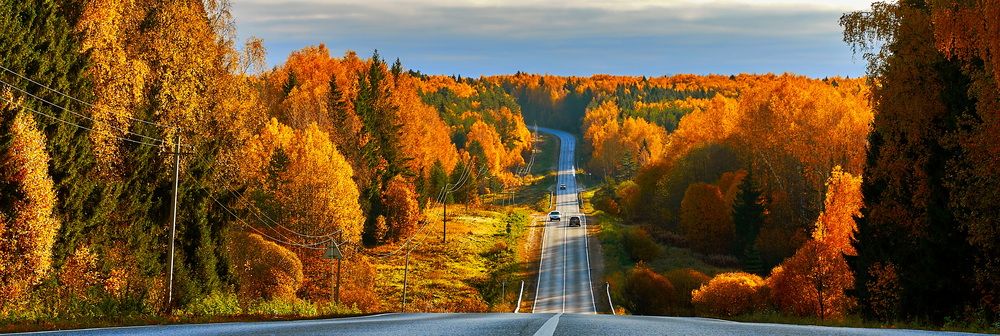 Photograph by Андрей Некрашевич