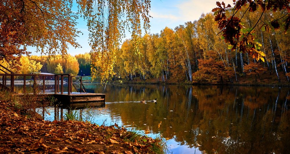 Photograph by Андрей Некрашевич