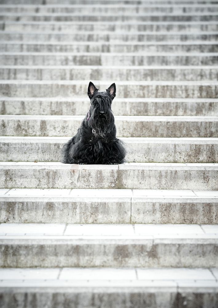 Photograph by Андрей Некрашевич