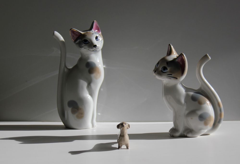 Photograph by Александра Шереметьева