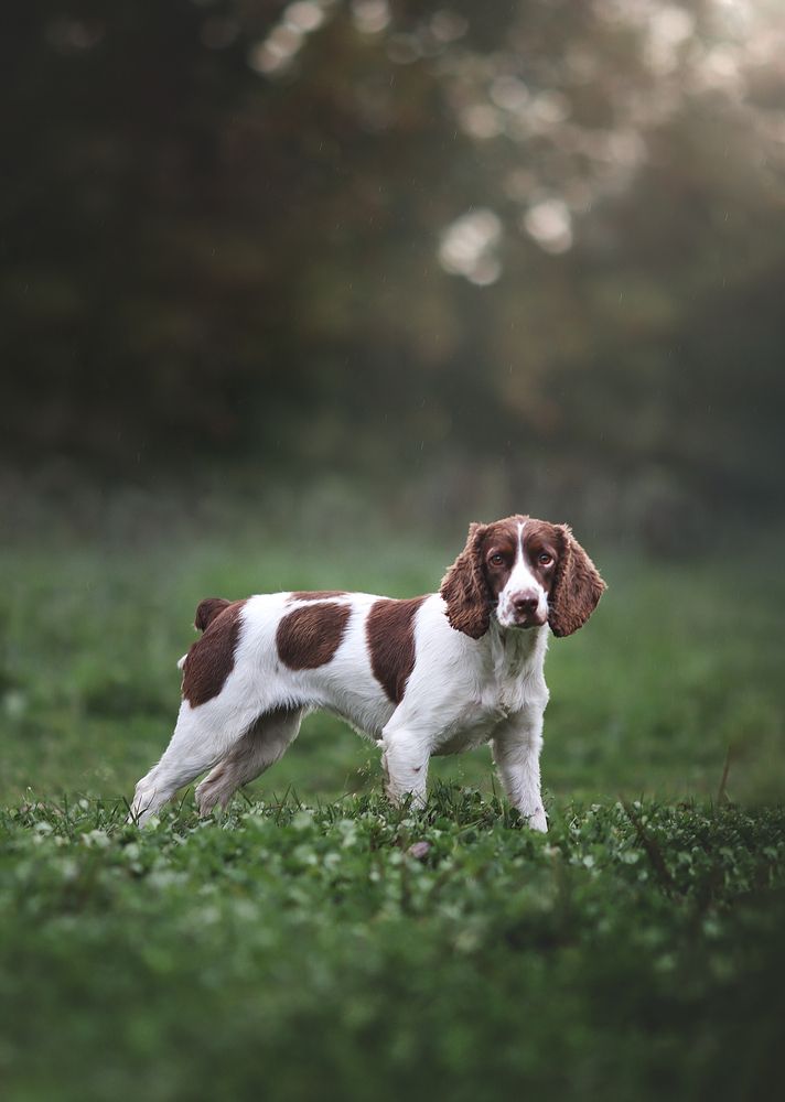 Photograph by Александра Белан