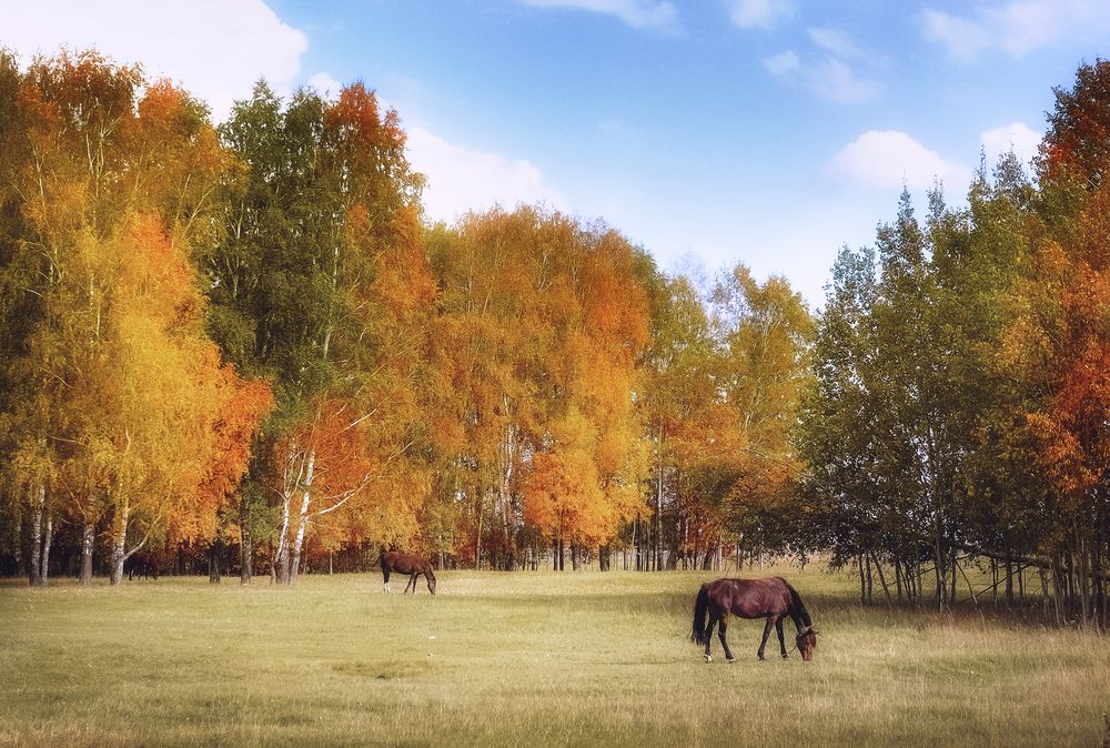 Photograph by Юлия Лушникова