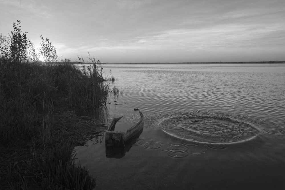 Photograph by Мишустина Татьяна