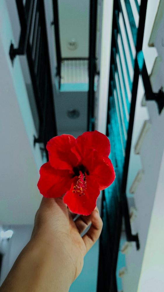 Photograph by ghufran Alim