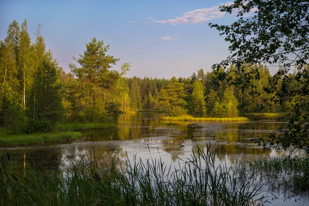 Photograph by Филатова Ольга
