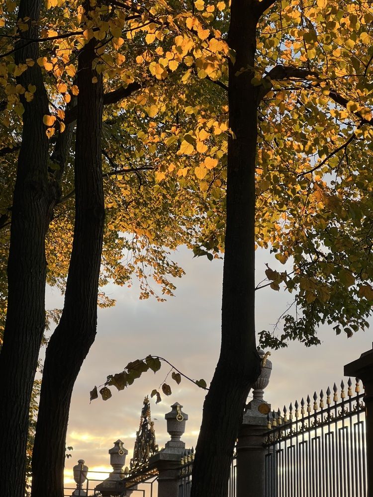 Photograph by Юлия Белоногая