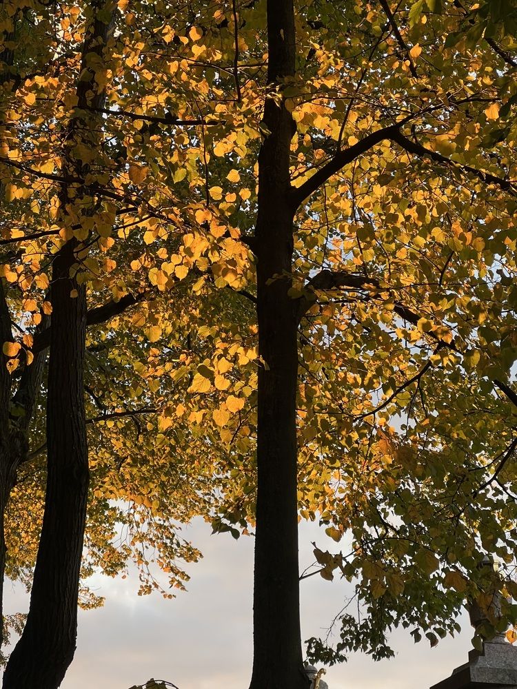 Photograph by Юлия Белоногая