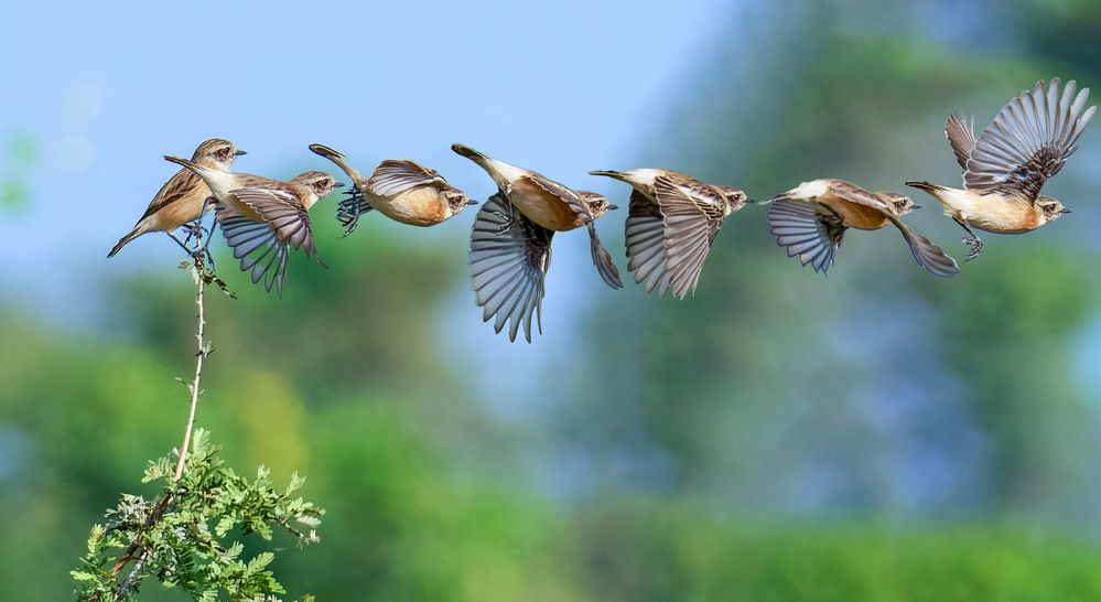 Photograph by Ashit Gandhi